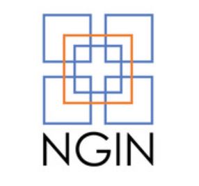 NGIN logo